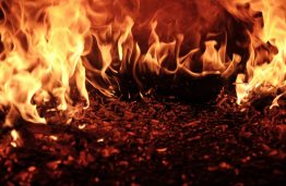 KTU chemikė: teigti, jog degant padangoms dioksinai nesusidaro yra neatsakinga