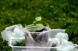 Bioplastikus tiriantys KTU mokslininkai: pasaulį teršia ne plastikas, o žmogus