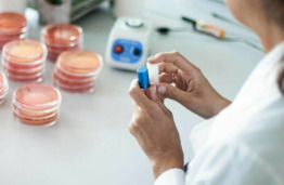 Tarptautinis maisto technologijų studijų krypties vertinimas